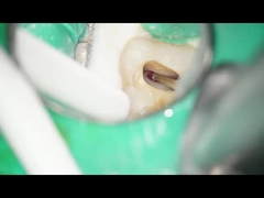 Nha khoa RA Burs Vonfram cacbua Burs Sử dụng nha khoa Tốc độ thấp